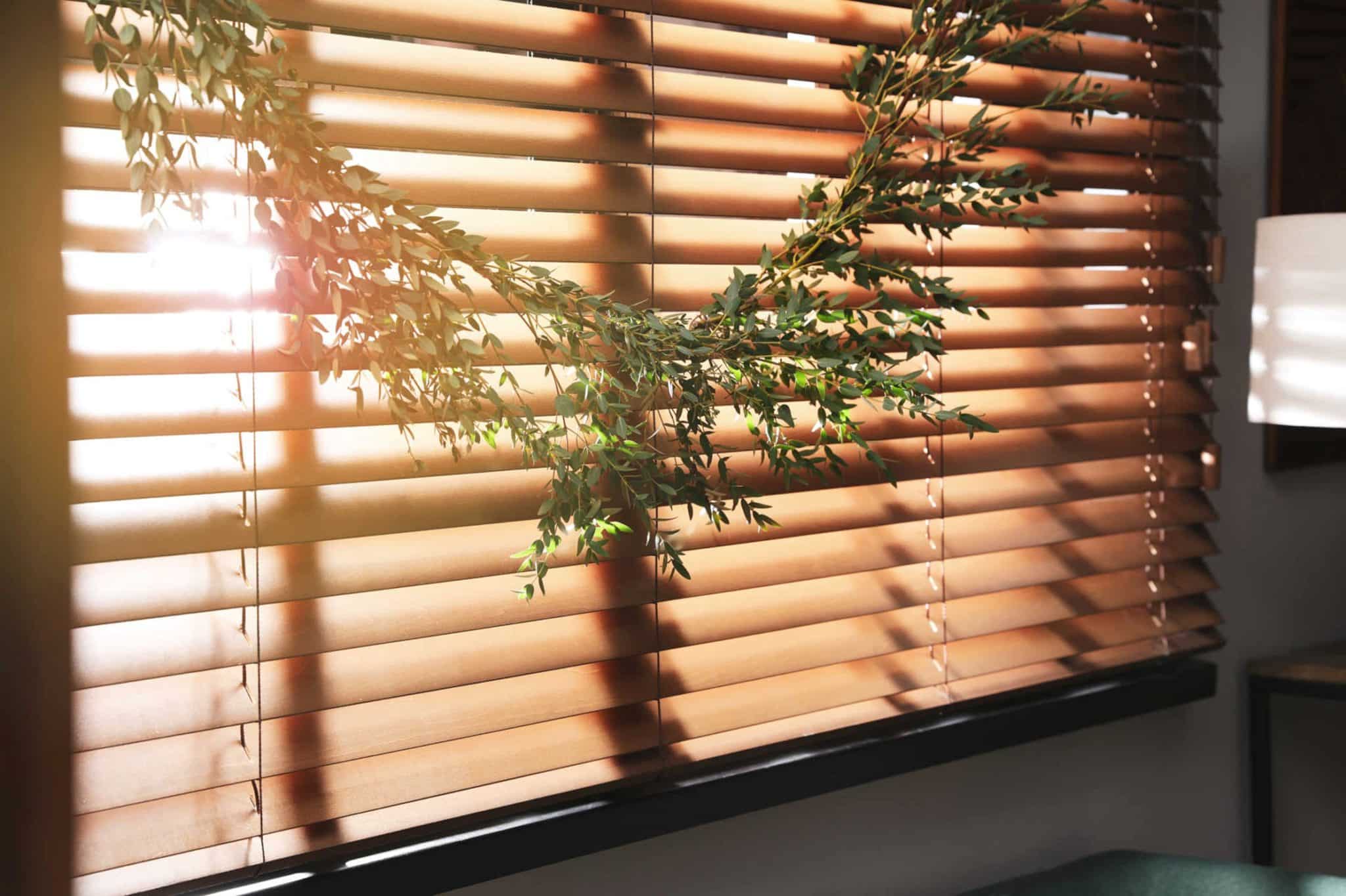 Exciting Window Blind Trends for 2022 & Beyond Home Vision Blinds